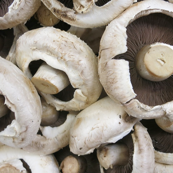 Xampinyó (300gr) LA RURAL DE COLLSEROLA