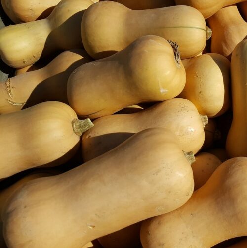 Carbassa 1 kg aprox (un)