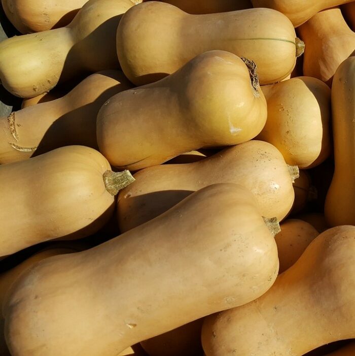 Carbassa 1 kg aprox (un)