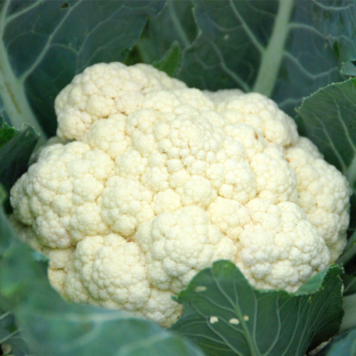 Coliflor (un)