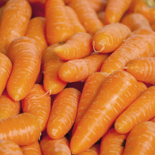 Pastanaga (500gr)