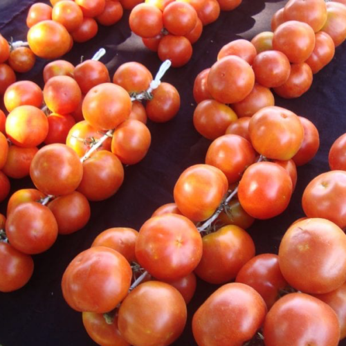 Tomacó (250gr)
