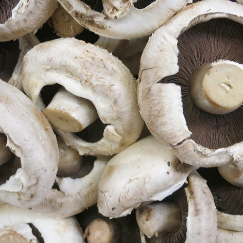 Xampinyó (300gr)