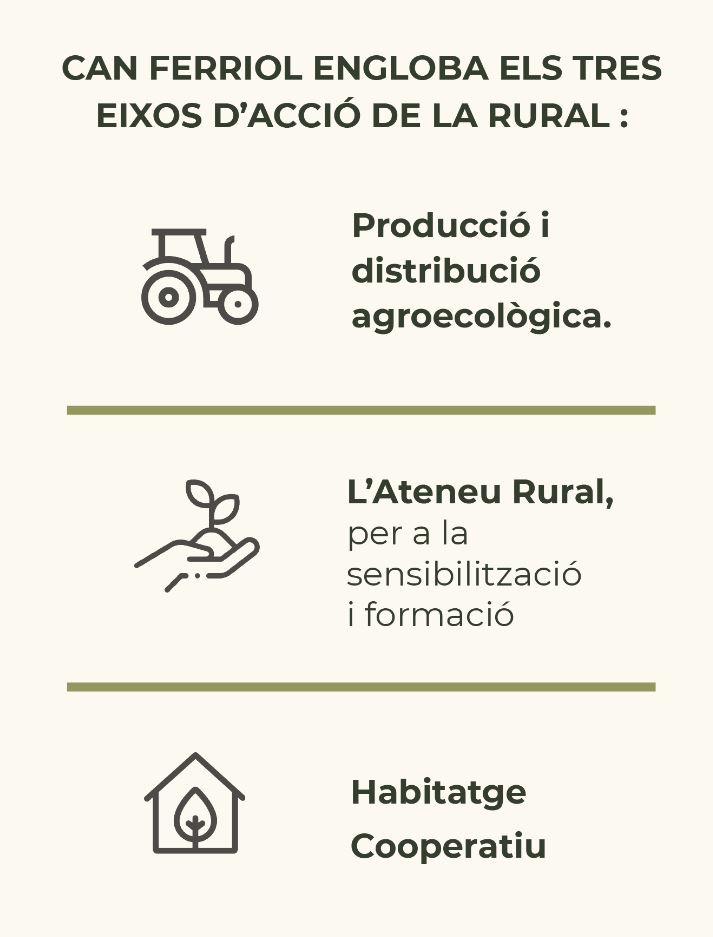 Image tres eixos d'acció de la Rural