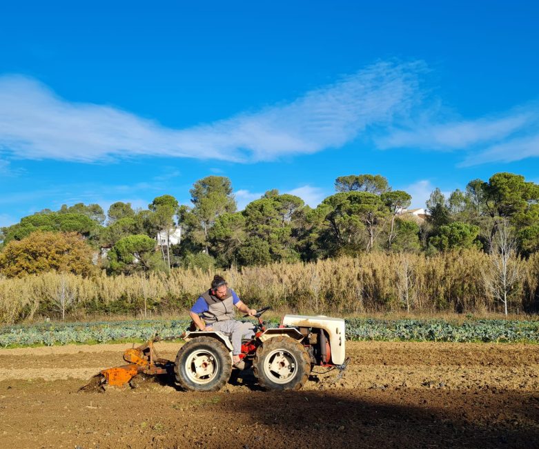 MAQUINARIA - ALFRED TRACTOR PETIT